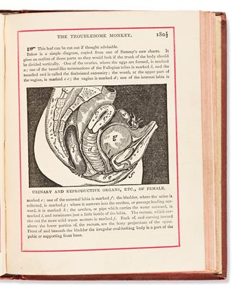 (MEDICINE.) Edward Bliss Foote. Science in Story. Sammy Tubbs, the Boy Doctor, and Sponsie, the Troublesome Monkey.